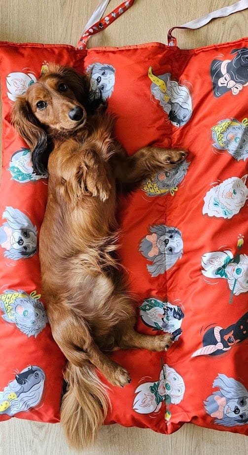 мамаспет постелка за сън за куче